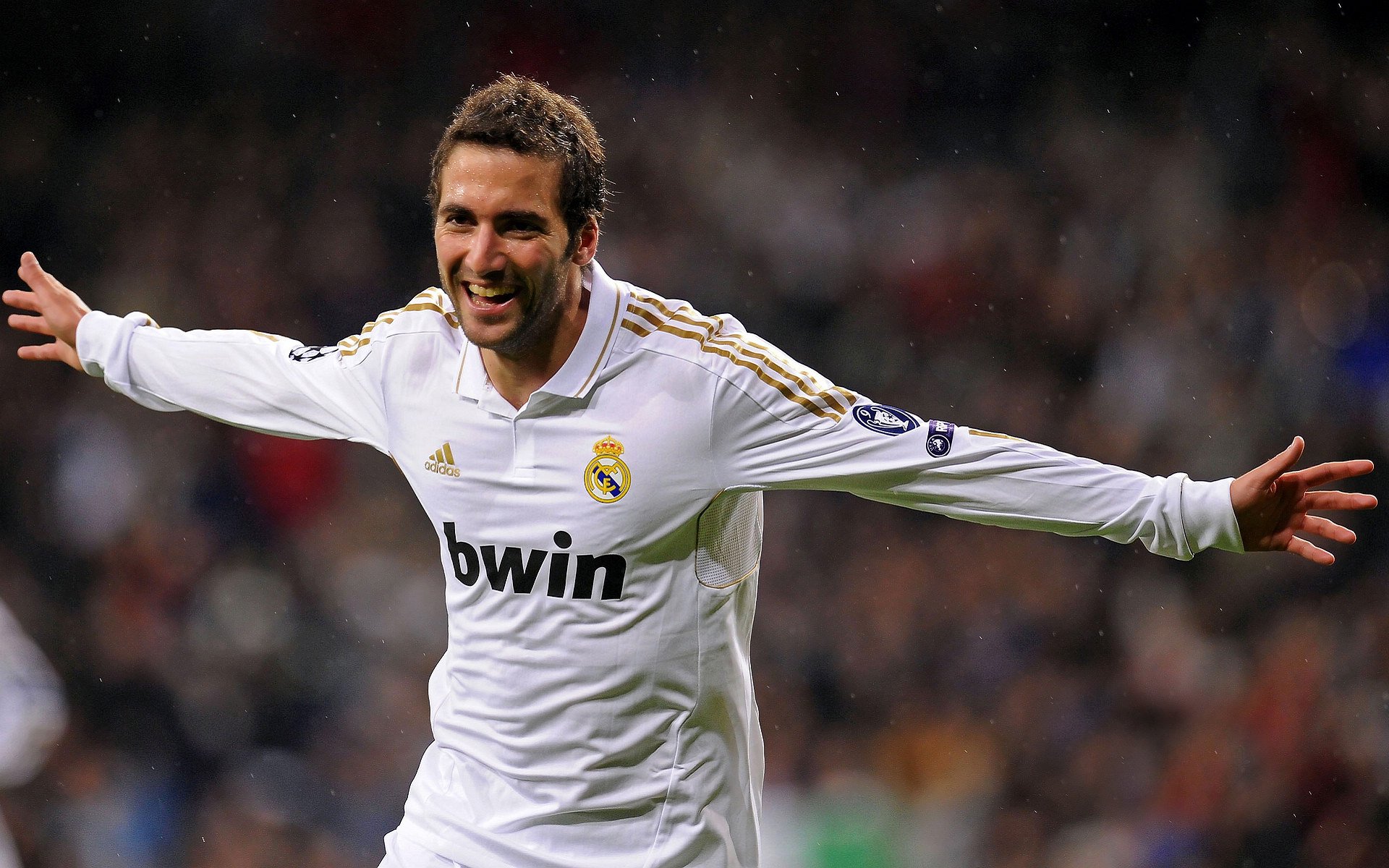 荷兰仰泳技术细节打磨到位，仰泳speedo